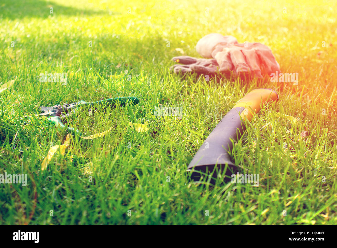 protective gloves, hand saw and pruning shears laying on green grass during hot summer day Stock Photo