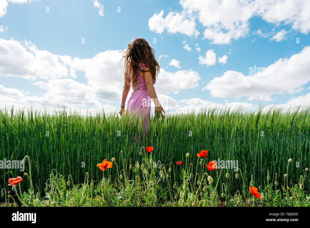 Woman in a pink dress hi-res stock photography and images - Alamy