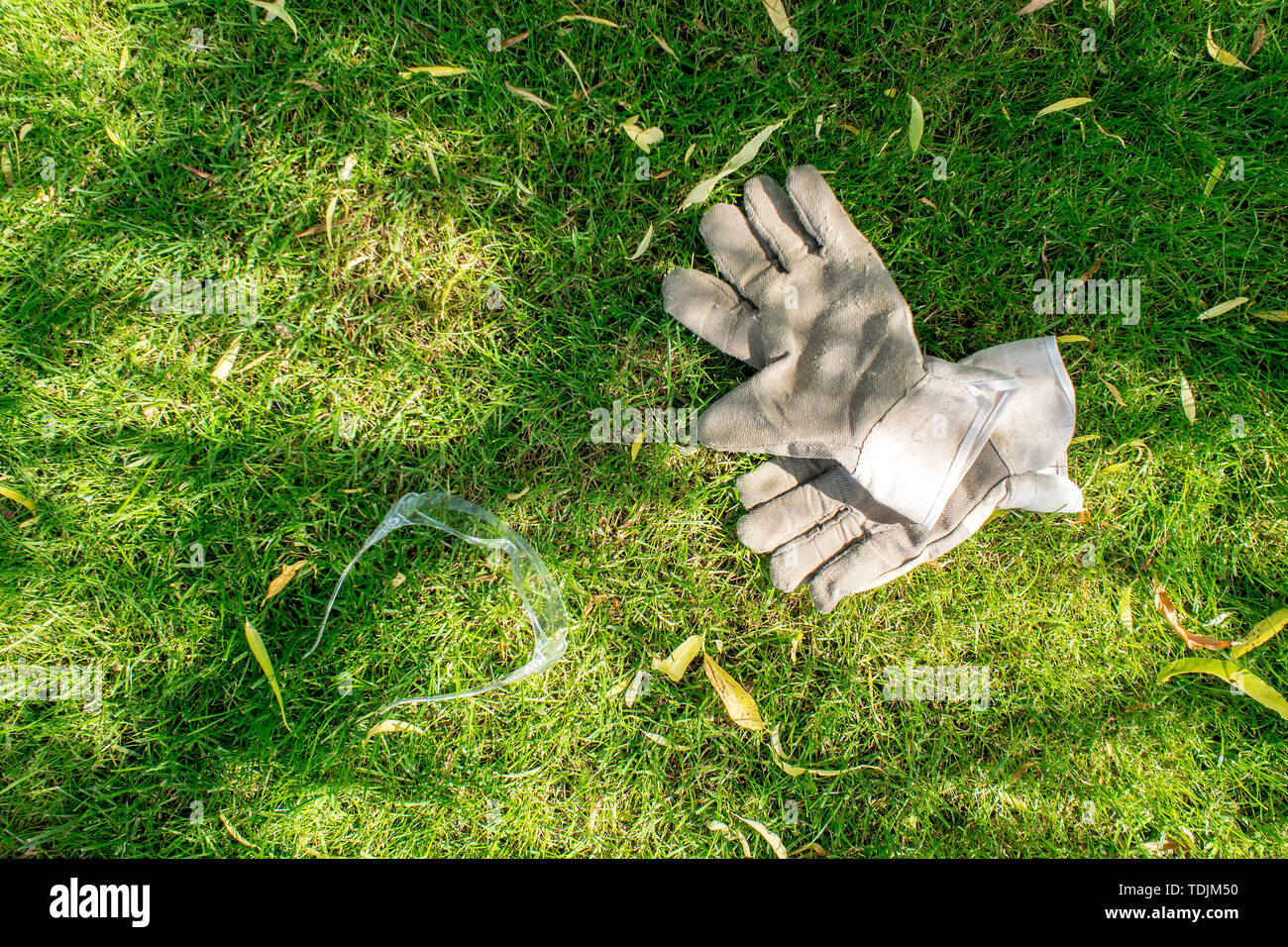 protective gloves and glases laying on green grass during hot summer day, from above Stock Photo