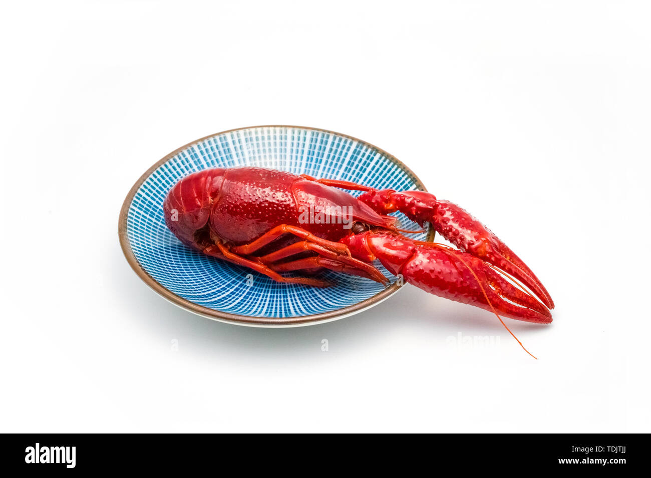 Crayfish Creative Photography Stock Photo Alamy Crayfish Creative Photography Stock Photo Alamy