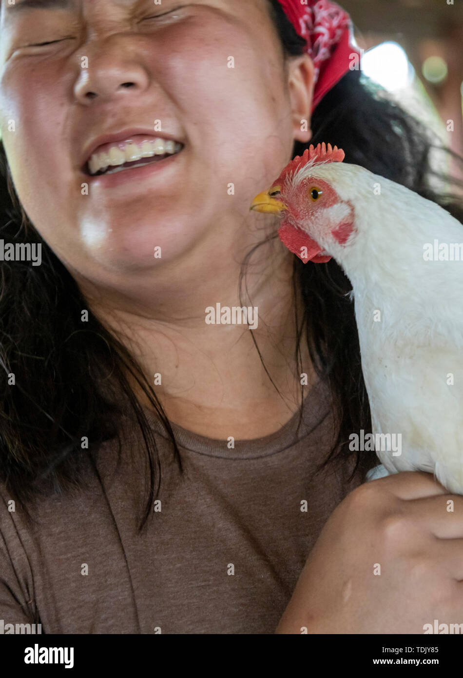 Perryville, Arkansas - Emily Koltes, a volunteer at Heifer Ranch, holds a chicken. Heifer Ranch is a 1,200-acre educational ranch that showcases susta Stock Photo