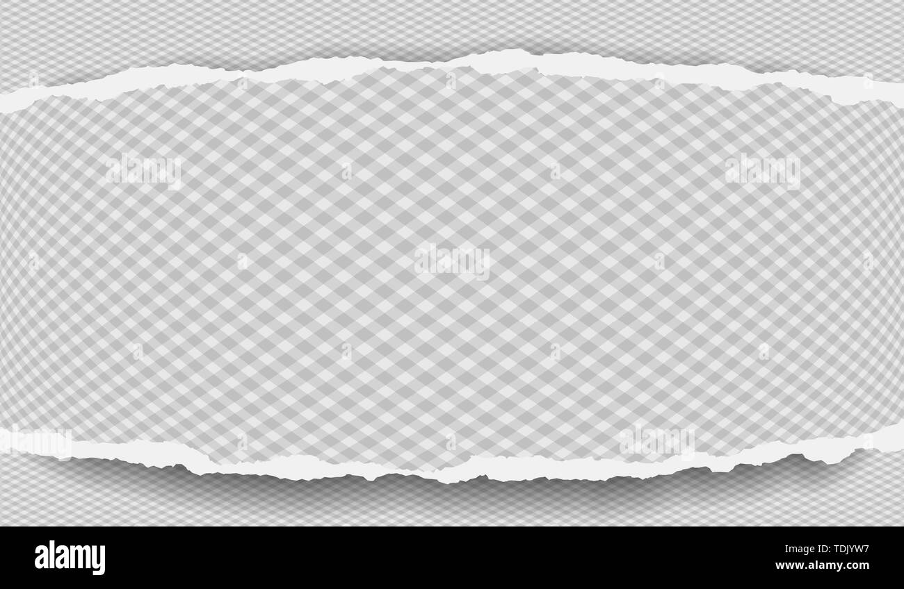 Piece of torn note paper strip with diamond pattern and soft shadow is ...