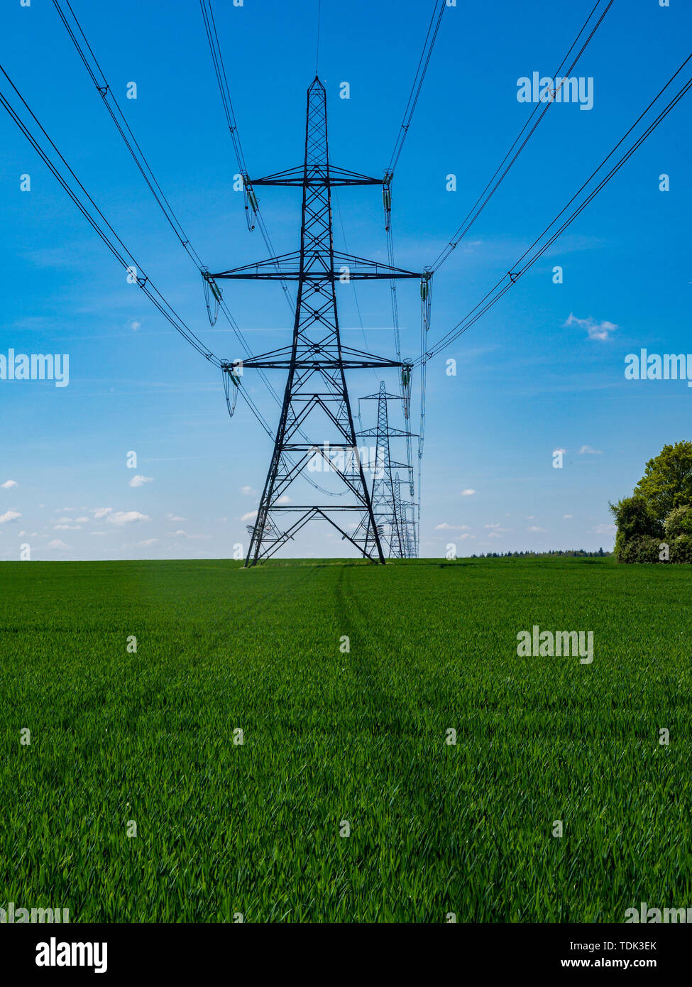 Electricity power lInes & pylons across crop fields Stock Photo