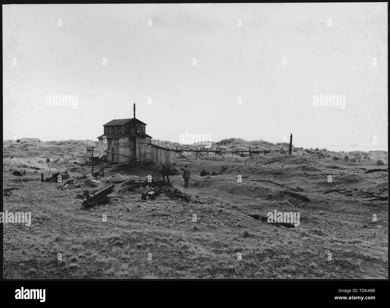 ON GOLD BEACH Stock Photo Alamy