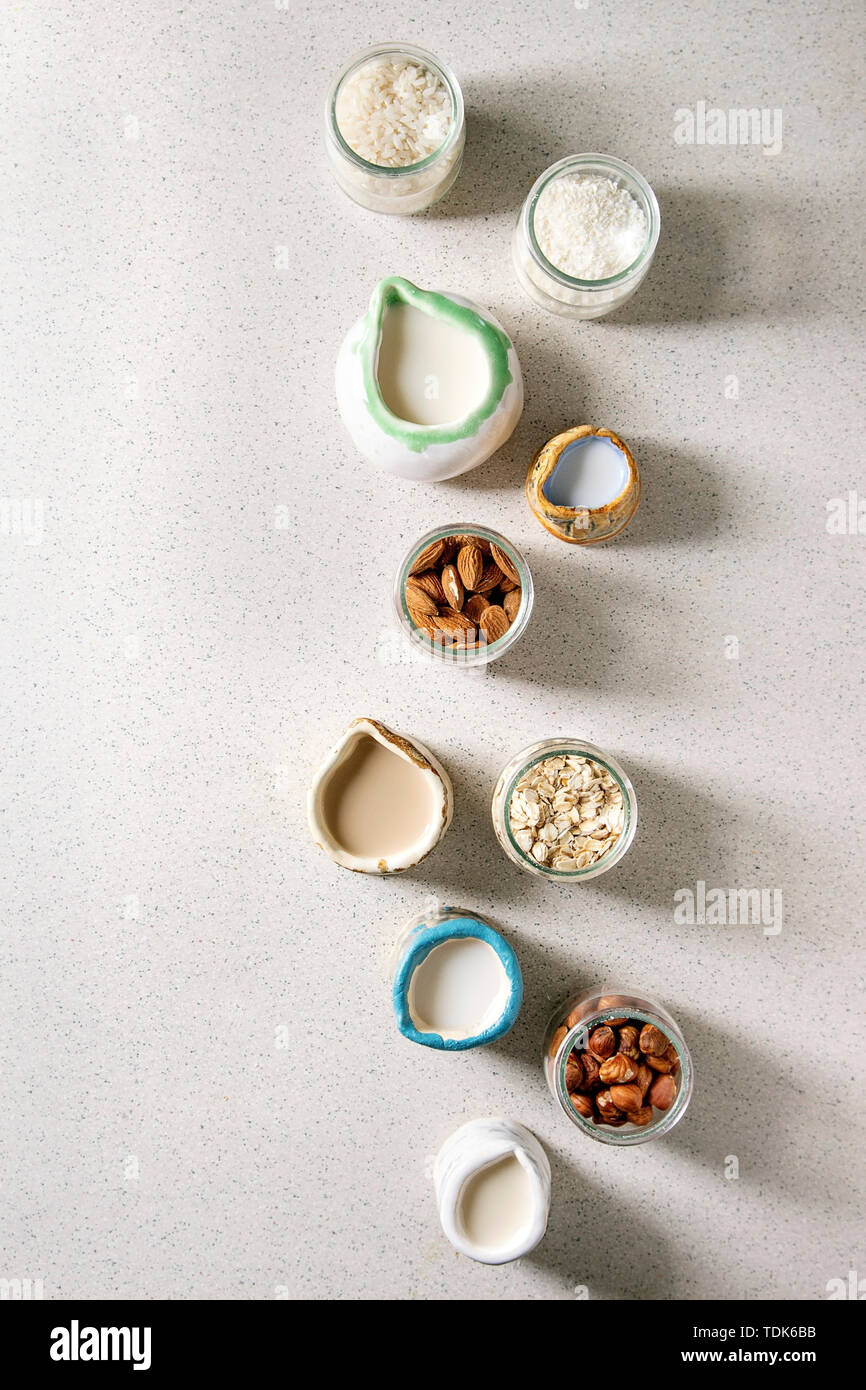 Variety of non-dairy vegan lactose free nuts and grain milk almond, hazelnut, coconut, rice, oat in different ceramic jugs in row with ingredients abo Stock Photo