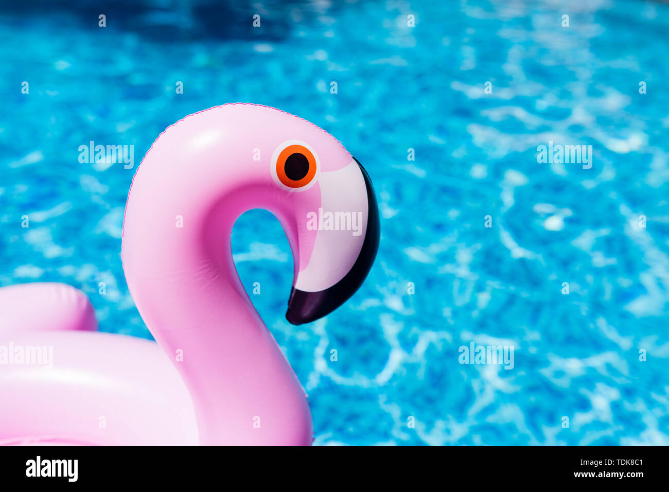 Inflatable pink flamingo at the swim pool. Summer time in the swimming