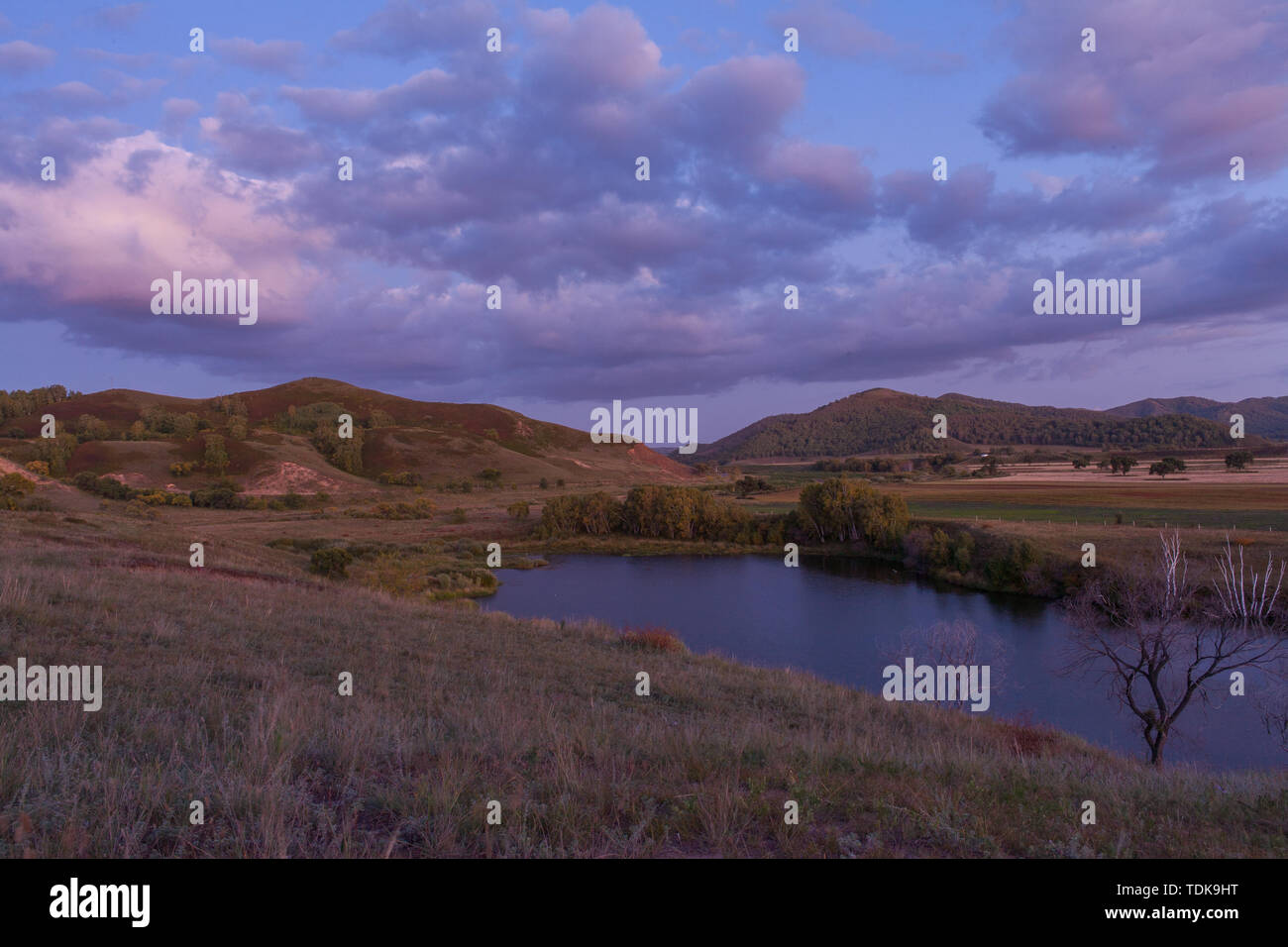 Outskirts of the forest hi-res stock photography and images - Alamy