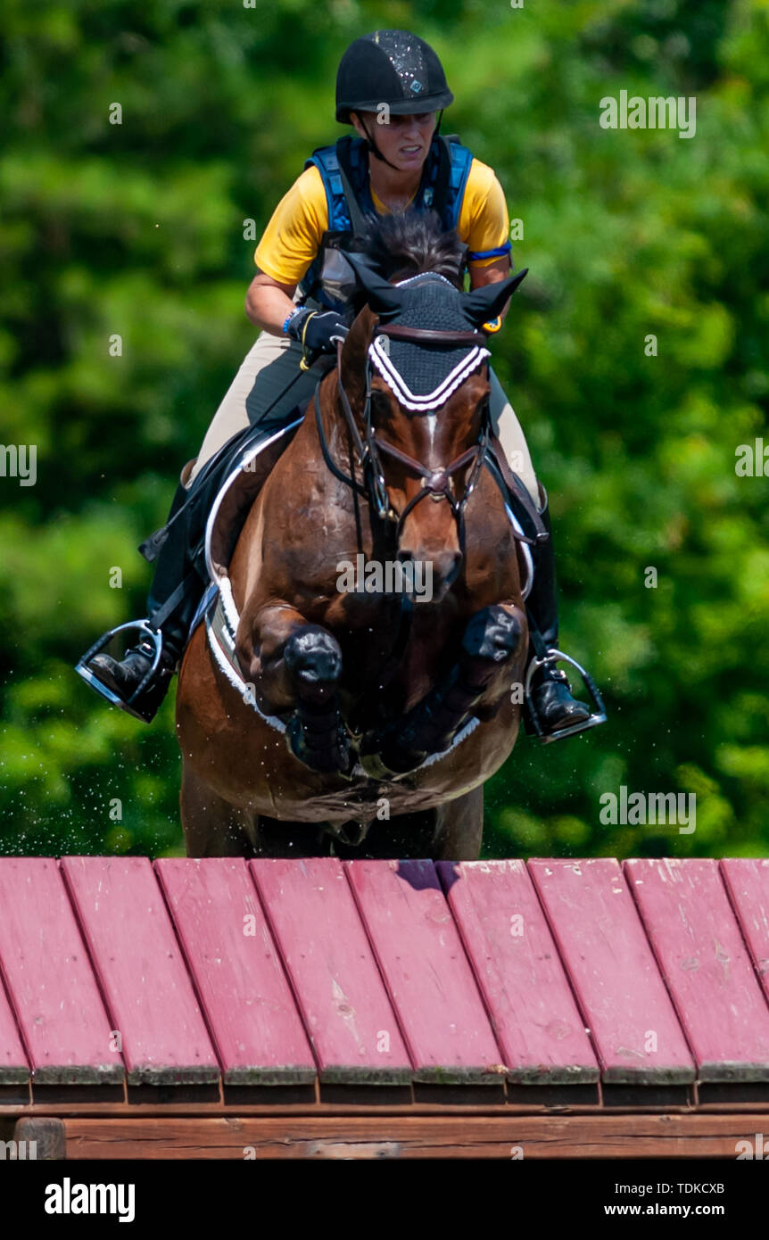 Raeford, North Carolina, USA. 16th June, 2019. June 15, 2019 Raeford