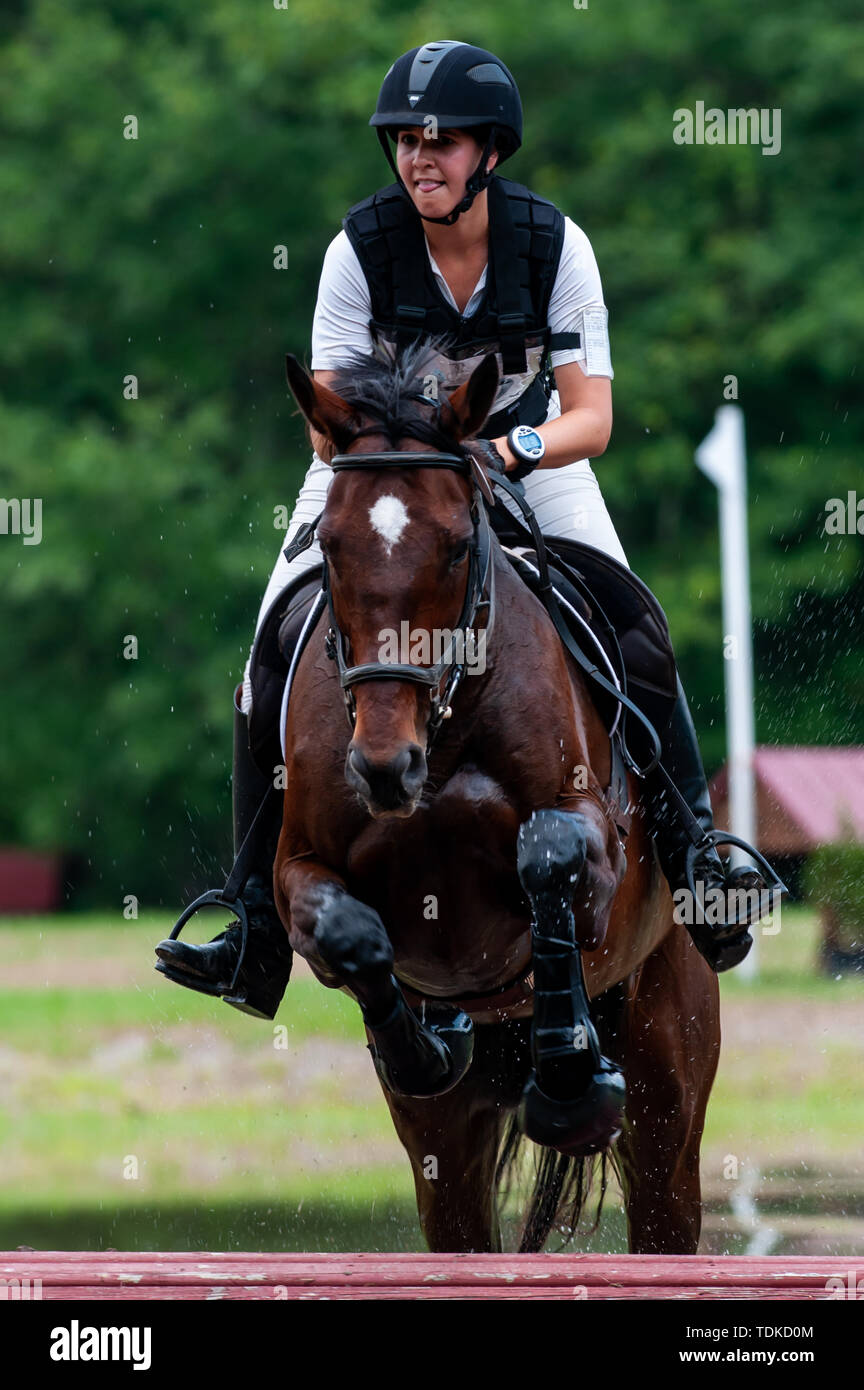 Raeford, North Carolina, USA. 16th June, 2019. June 15, 2019 Raeford, North Carolina, USA