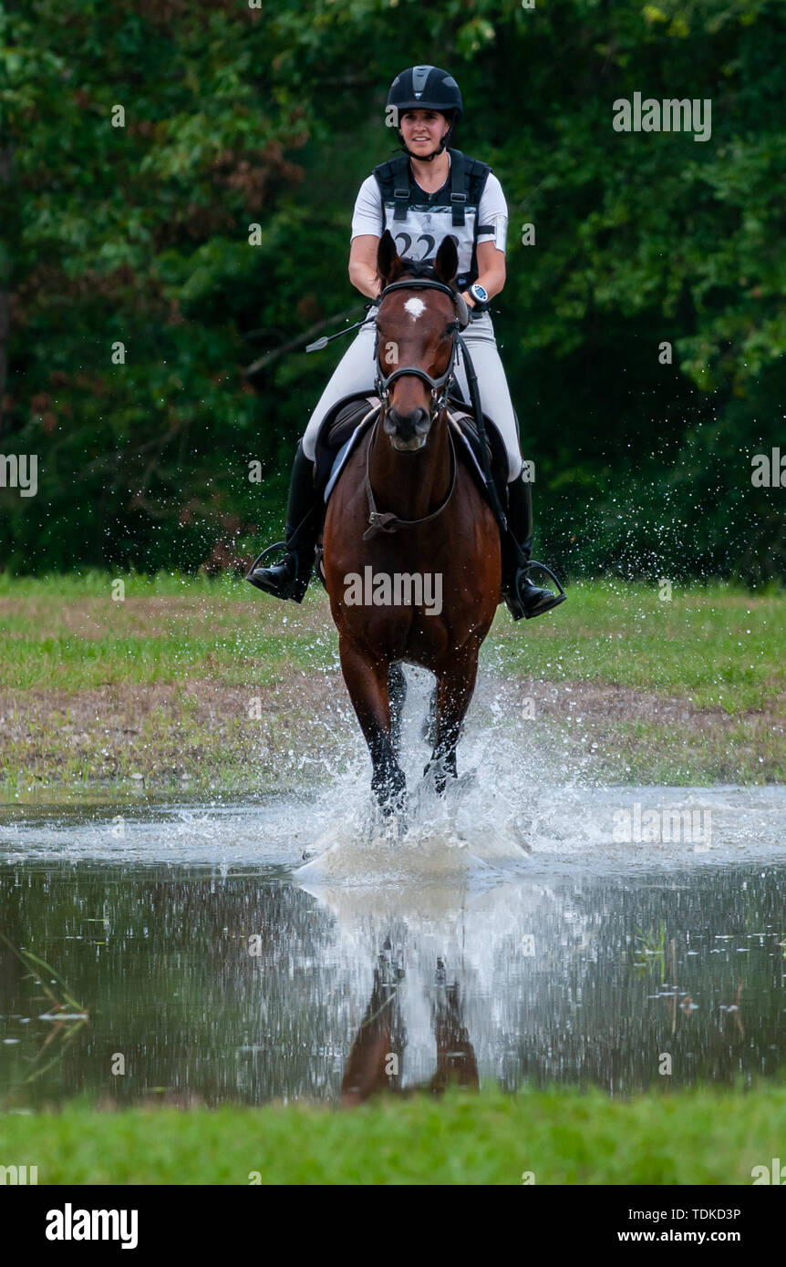 Raeford, North Carolina, USA. 16th June, 2019. June 15, 2019 Raeford