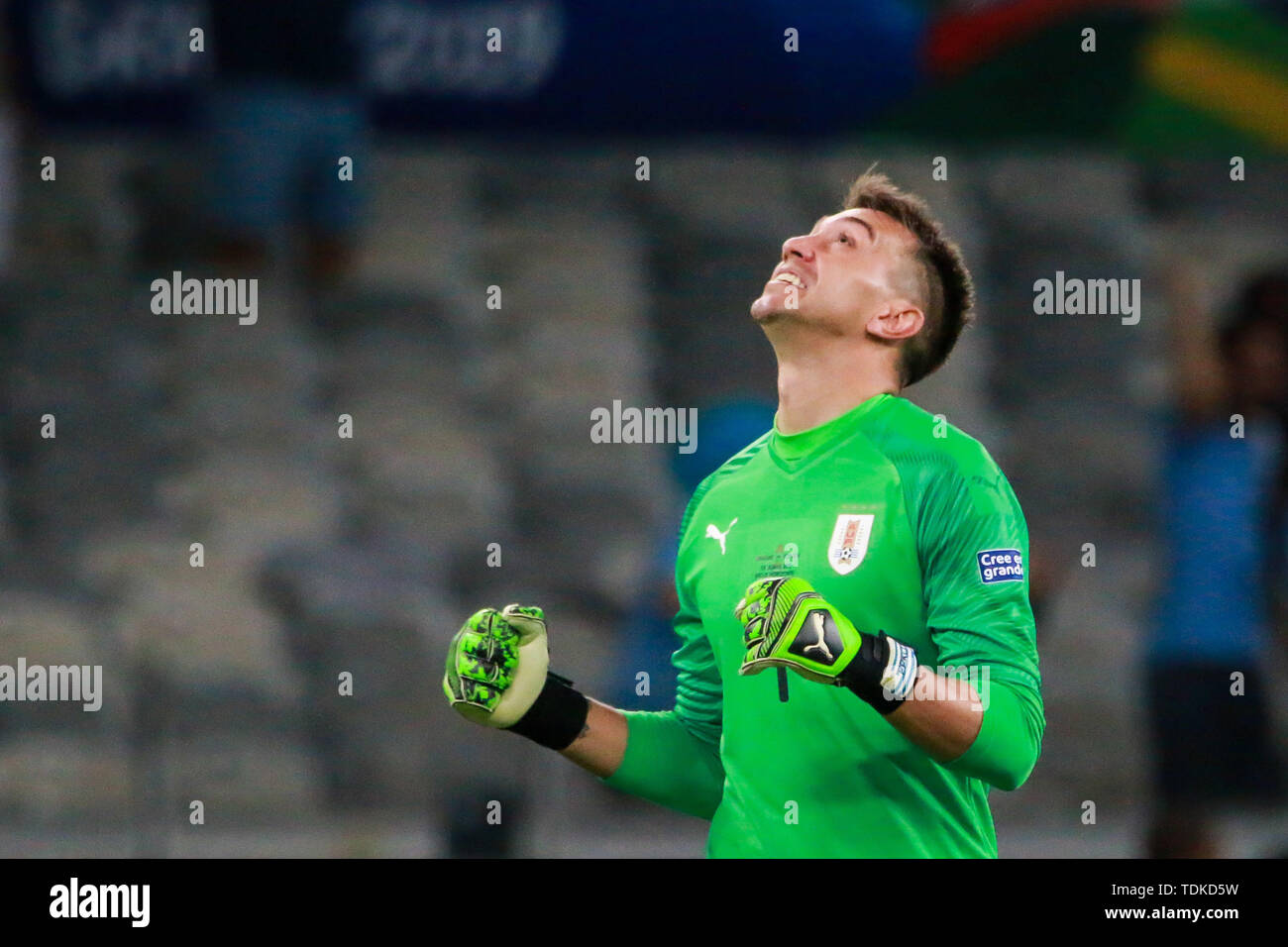 Belo Horizonte, Brazil. 16th June, 2019. Muslera, Uruguay goalkeeper, celebrates the second goal of the team, marked by Edinson Cavani, during a match between Uruguay and Ecuador, valid for the group stage of the Copa America 2019, held this Sunday (16) at the Estádio do Mineirão in Belo Horizonte, MG . Credit: Dudu Macedo/FotoArena/Alamy Live News Stock Photo
