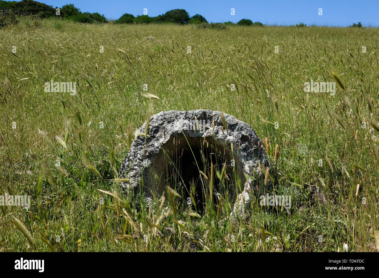 Sank In Swamp High Resolution Stock Photography and Images - Alamy
