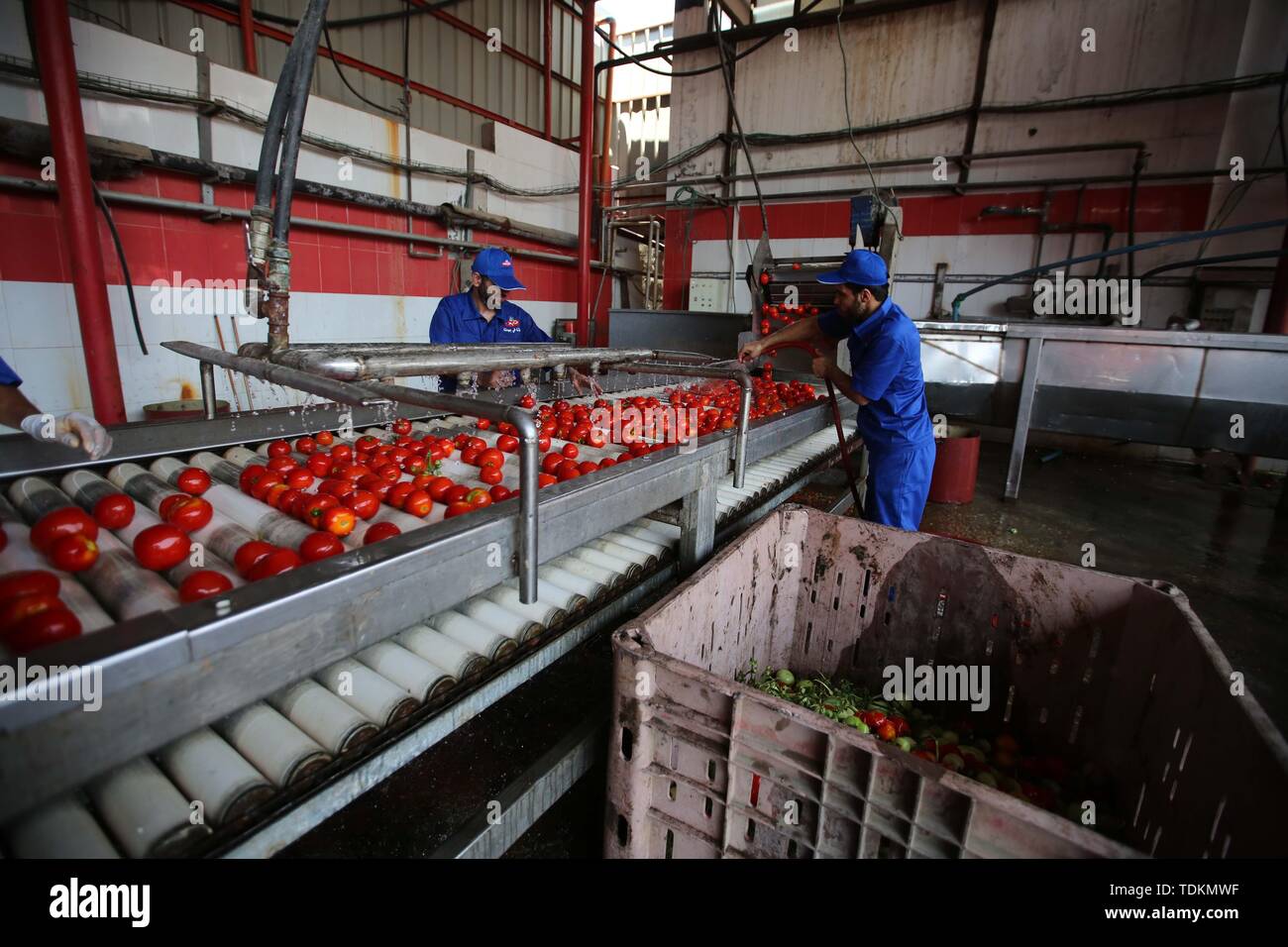 Tomato sauce factory hires stock photography and images Alamy