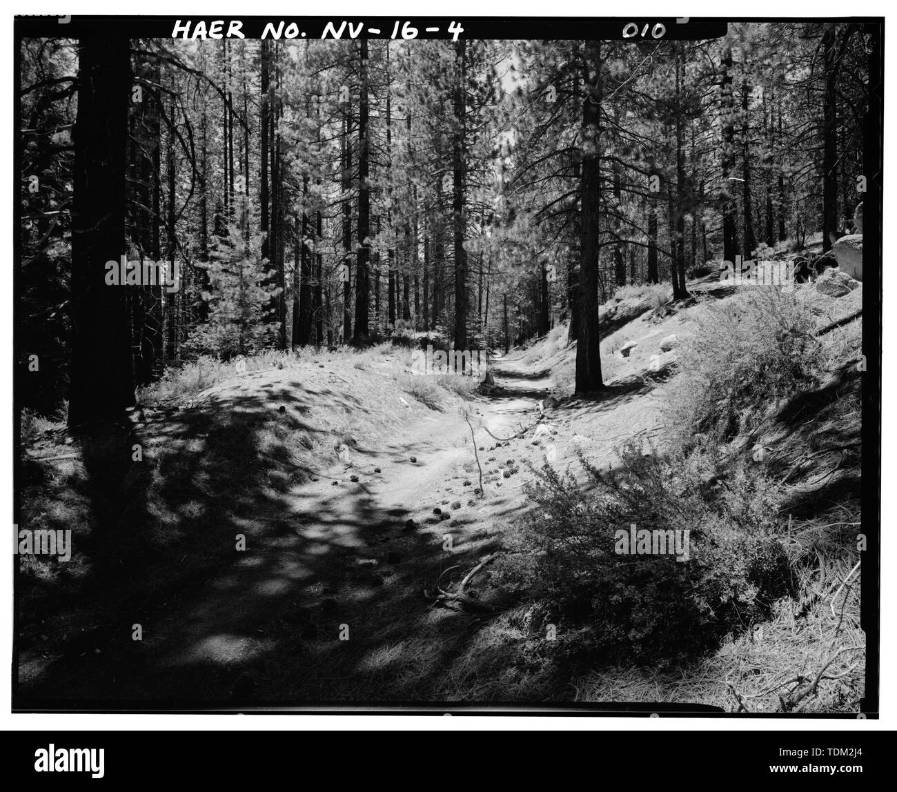 Overview of grade south of Skunk Harbor Road, looking southwest. 1.8 miles east from southern