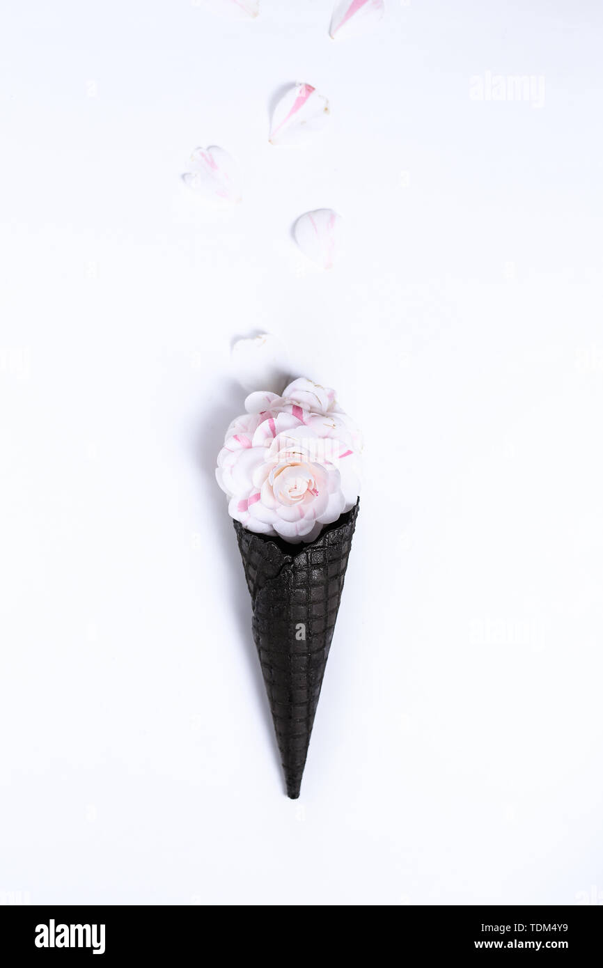 Ice cream-shaped camellia Stock Photo - Alamy