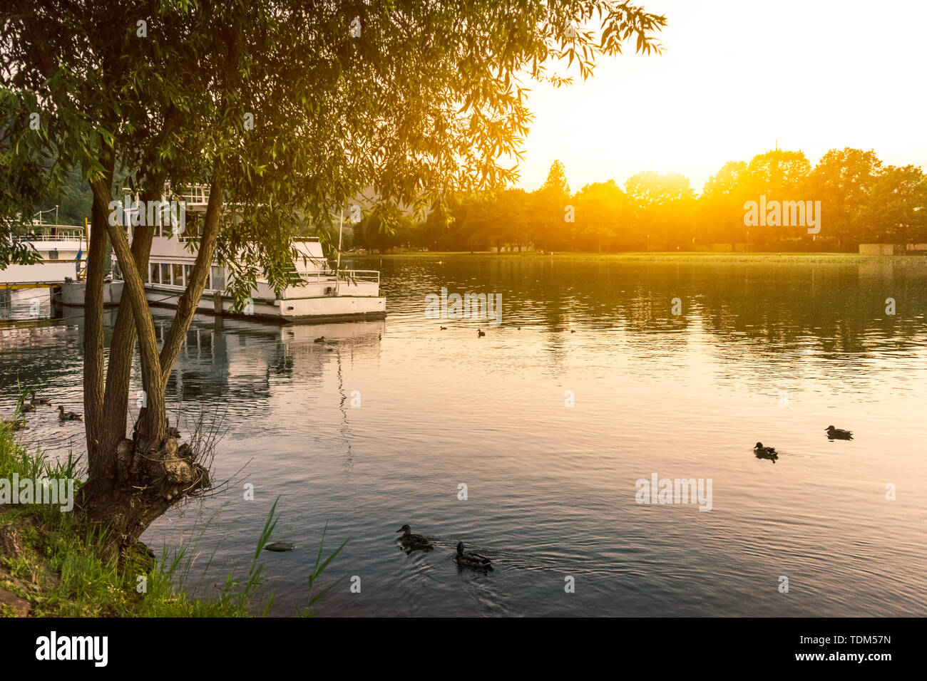 Tranquil lake environment hi-res stock photography and images - Alamy