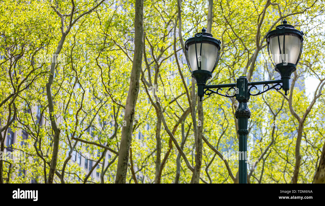 Street lamp lights on pole against green trees foliage. New York