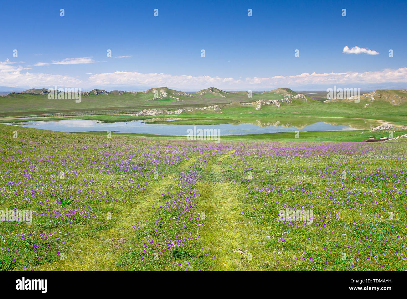 Lakes and sea of flowers Stock Photo Alamy