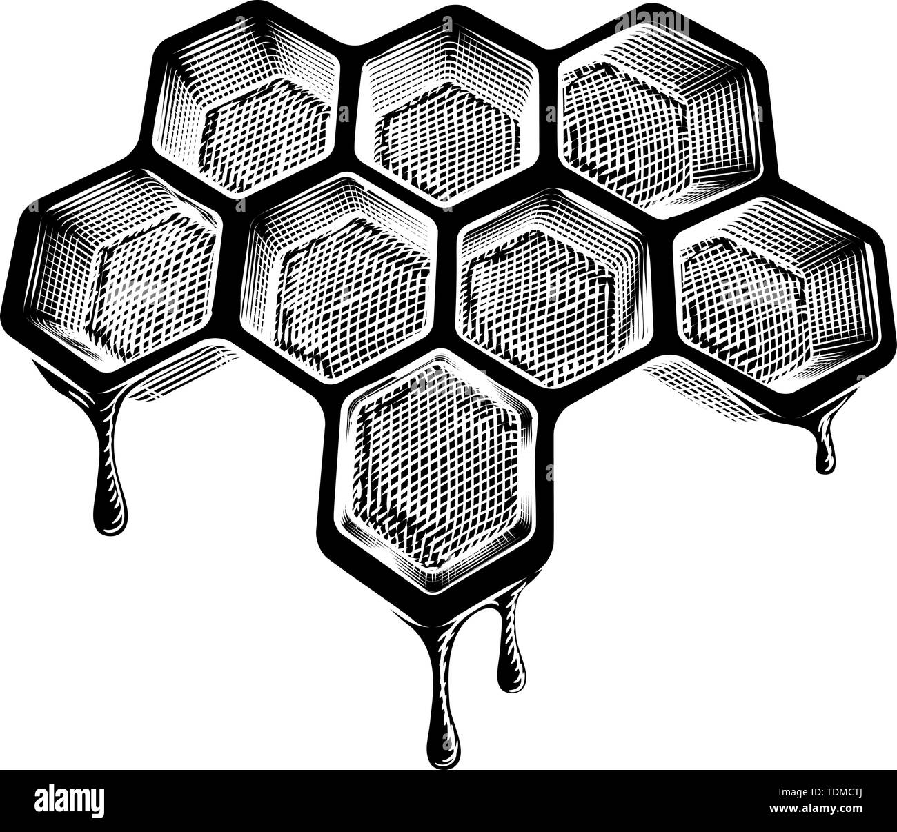 Bee Honeycomb Dripping with Honey Vintage Style Stock Vector