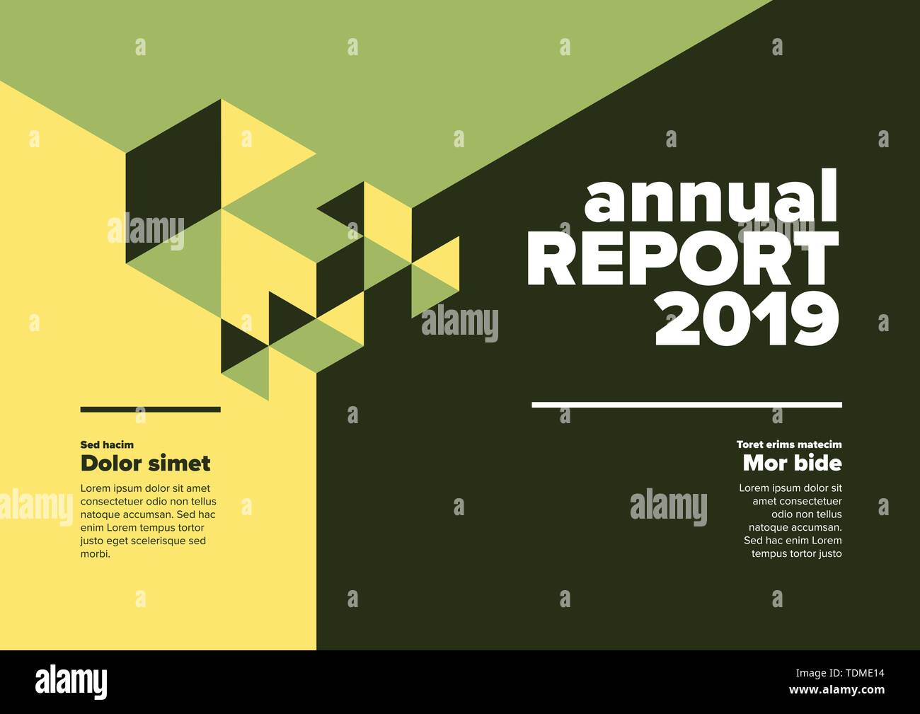 Vector abstract annual report cover template with abstract isometric ...