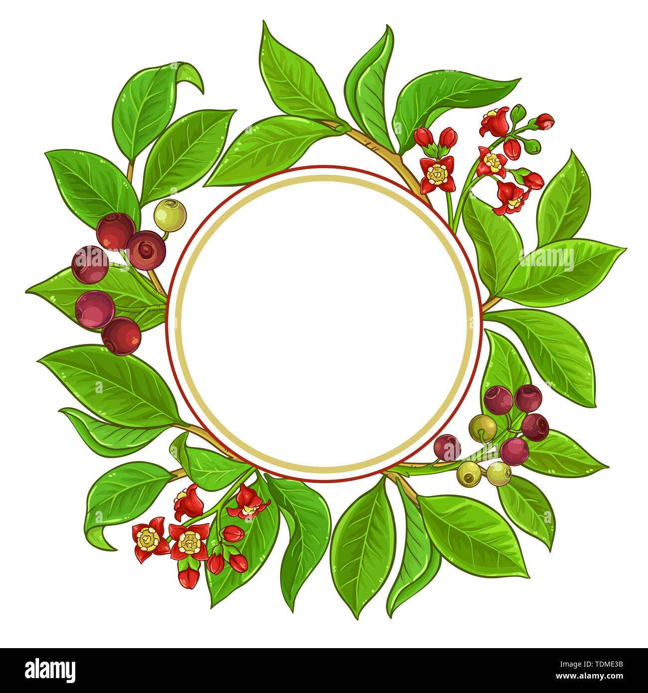 sandalwood vector frame on white background Stock Vector