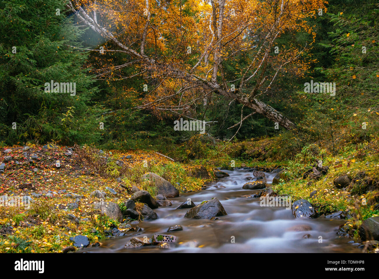 Late beautiful autumn in hi-res stock photography and images - Alamy