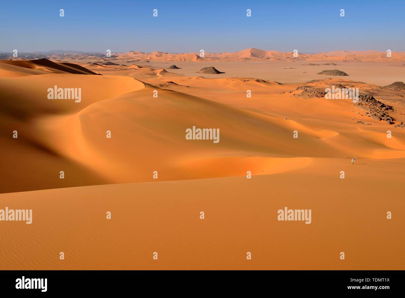 Sanddunes of Oued In Djerane, Tadrart, Tassili n'Ajjer National Park, Sahara, Algeria Stock Photo