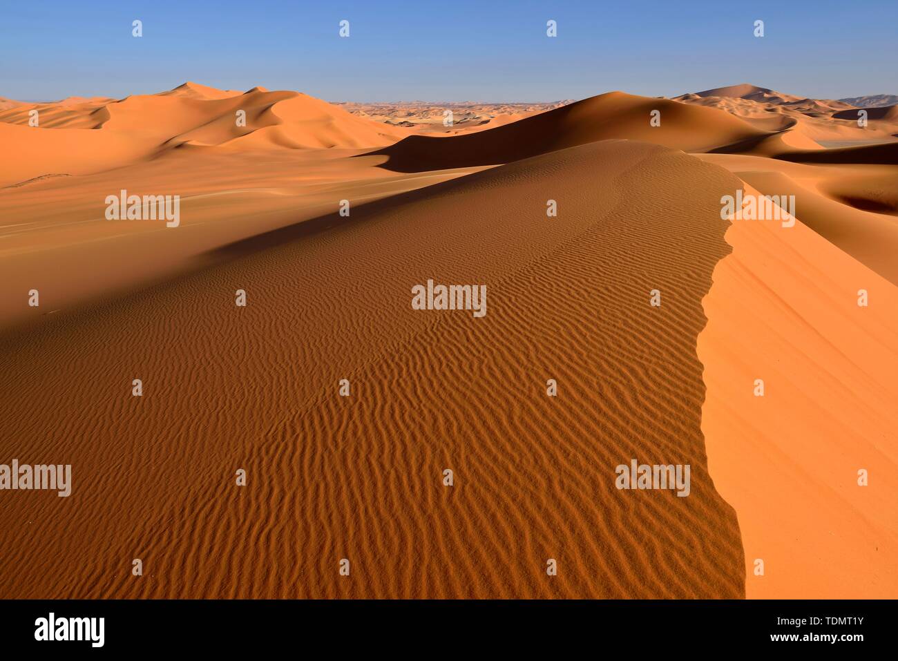 Sanddunes of In Tehak, Tadrart, Tassili n'Ajjer National Park, Sahara, Algeria Stock Photo