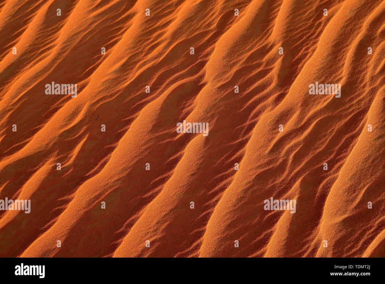 Sand ripples, texture on a sanddune, Tassili n'Ajjer National Park, Sahara, Algeria Stock Photo