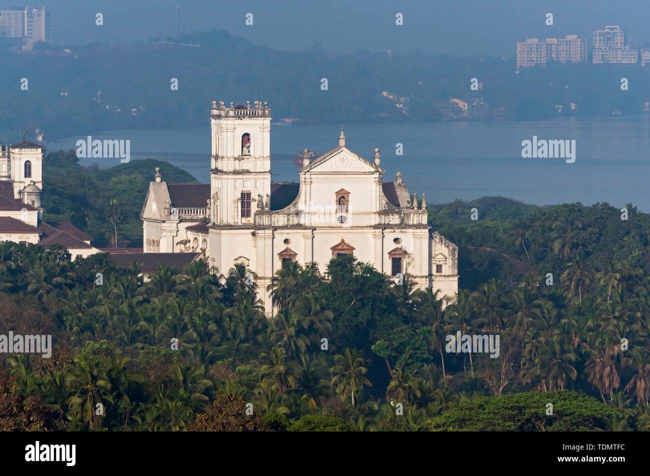 View of Se Cathedral among palm trees, Old Goa, India Stock Photo