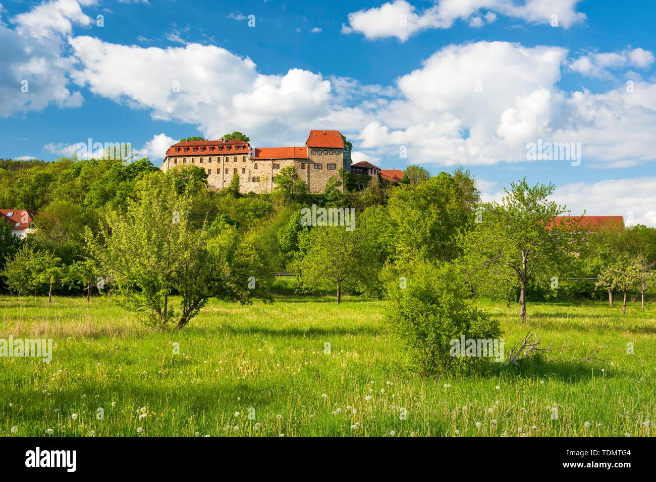 Creuzburg Castle in the Werra valley, in front orchard meadow, Creuzburg, Thuringia, Germany Stock Photo