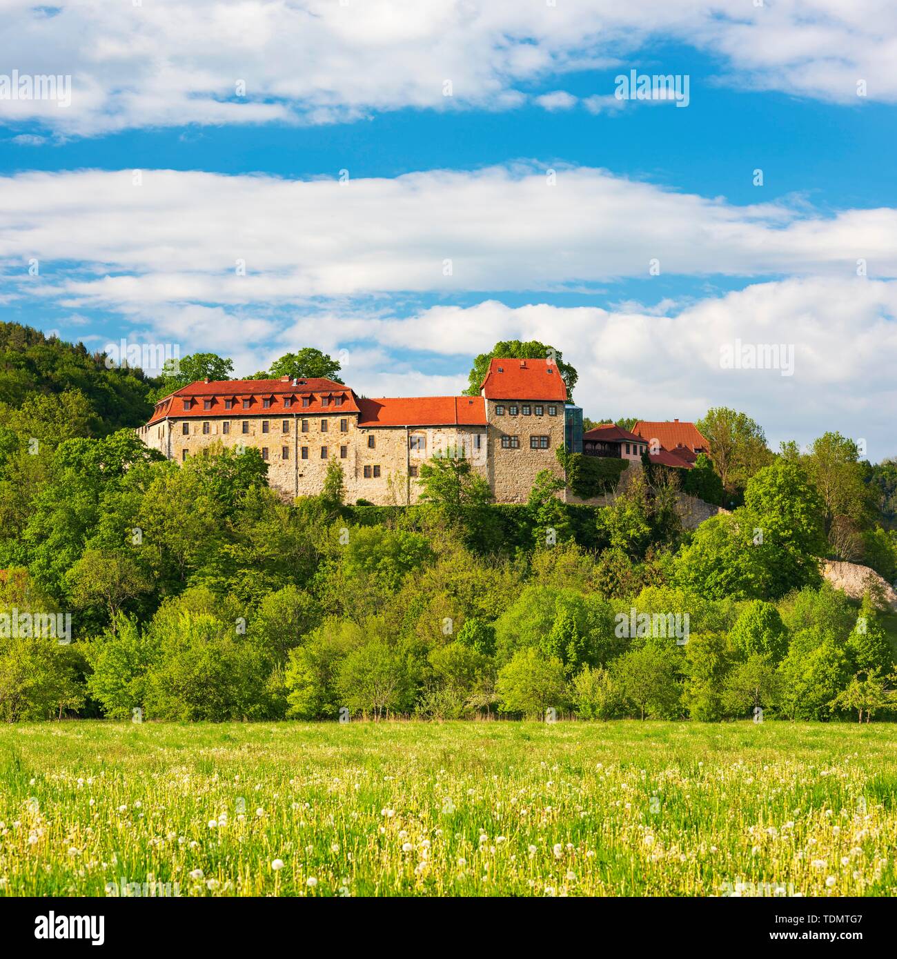 Creuzburg Castle in the Werra valley, Creuzburg, Thuringia, Germany Stock Photo