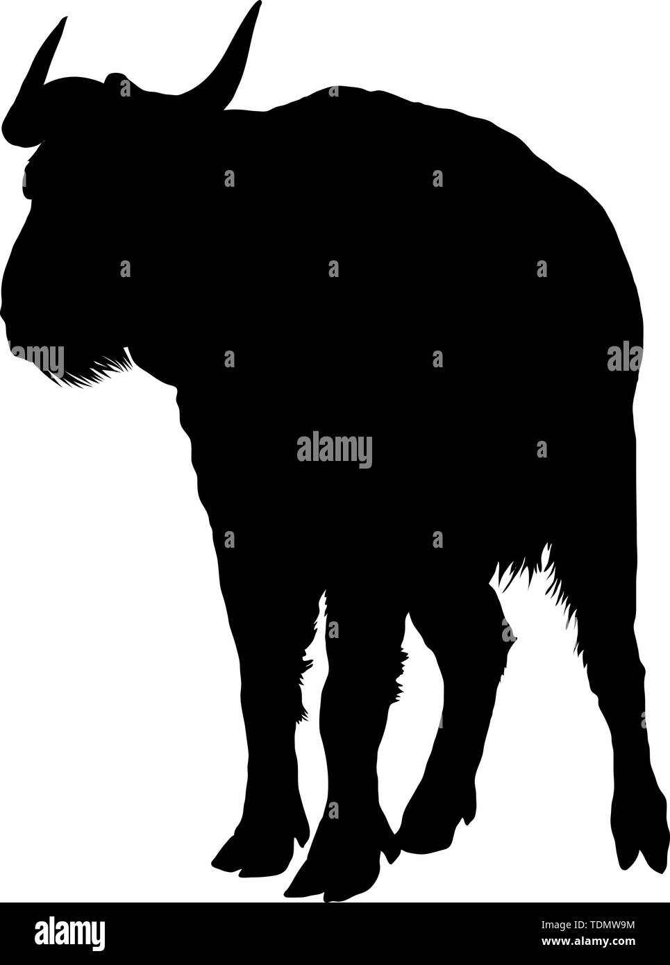 Bison Silhouette. Highly Detailed Smooth Design. Vector Illustration 