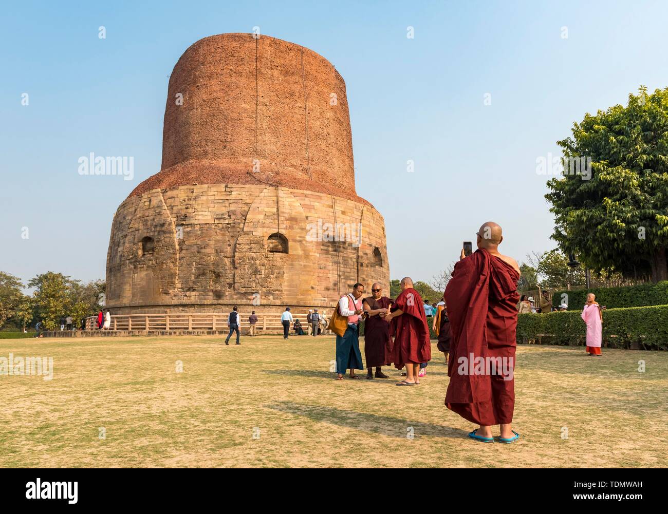 Buddhist monks take photographs in front of Dhamek Stupa, Sarnath, Varanasi, India Stock Photo