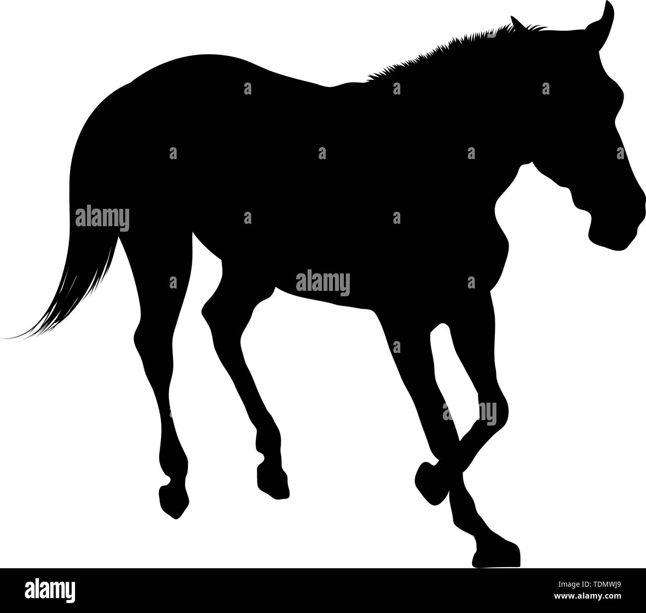 Horse Silhouette. Highly Detailed Smooth. Vector Illustration Stock ...