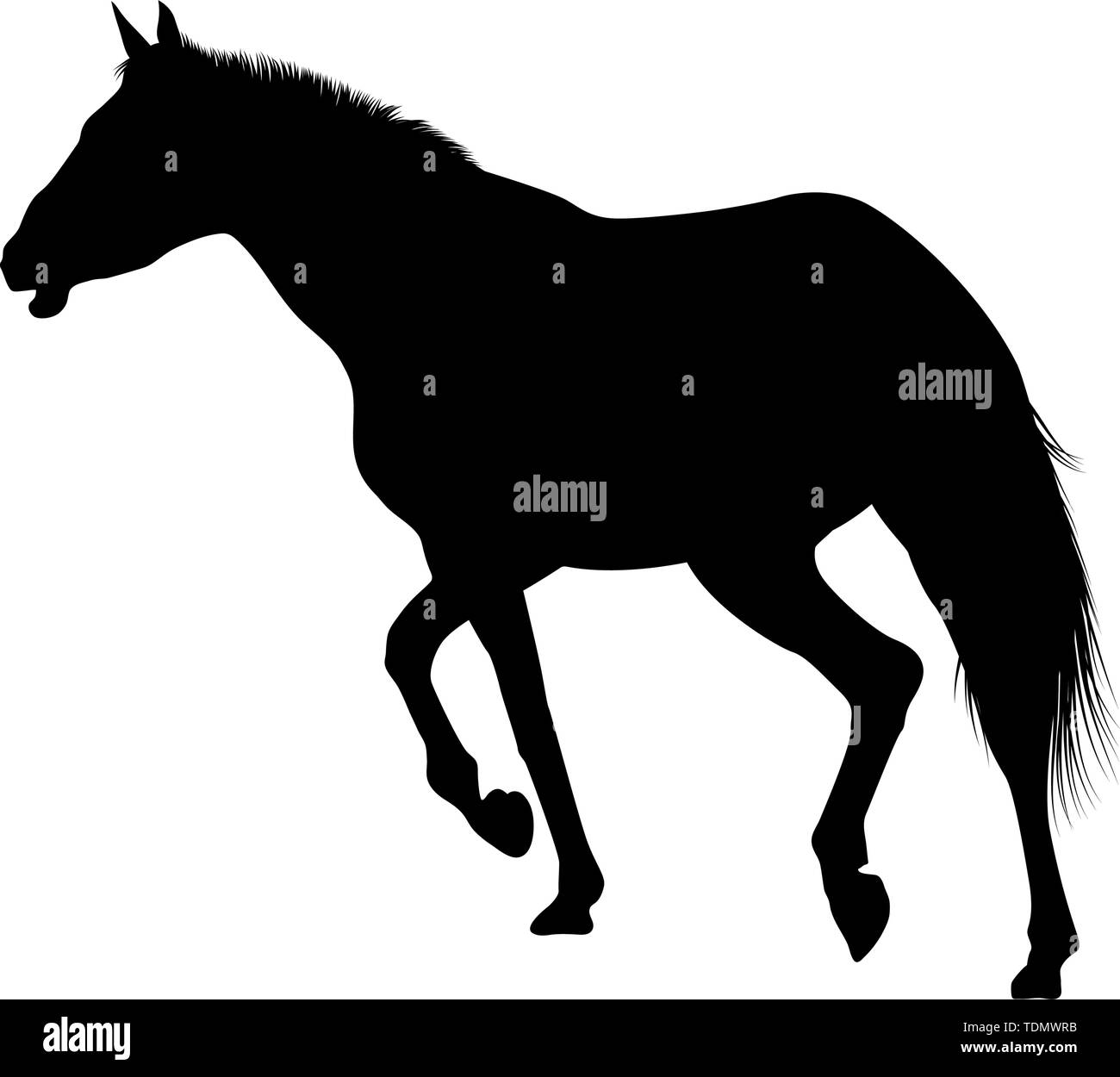 Horse Silhouette. Highly Detailed Smooth. Vector Illustration Stock ...