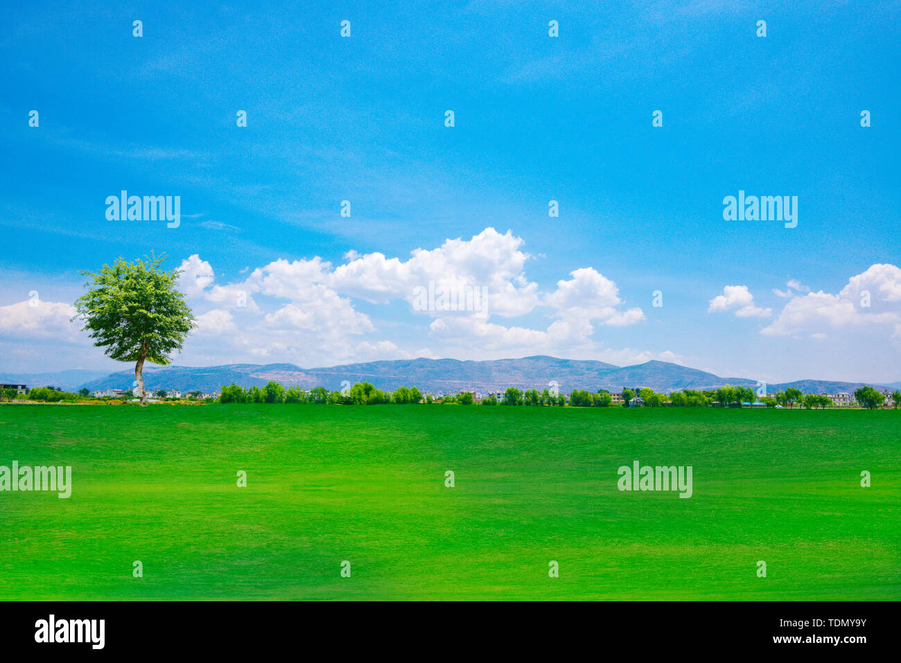 Green grass under blue sky and white clouds Stock Photo - Alamy