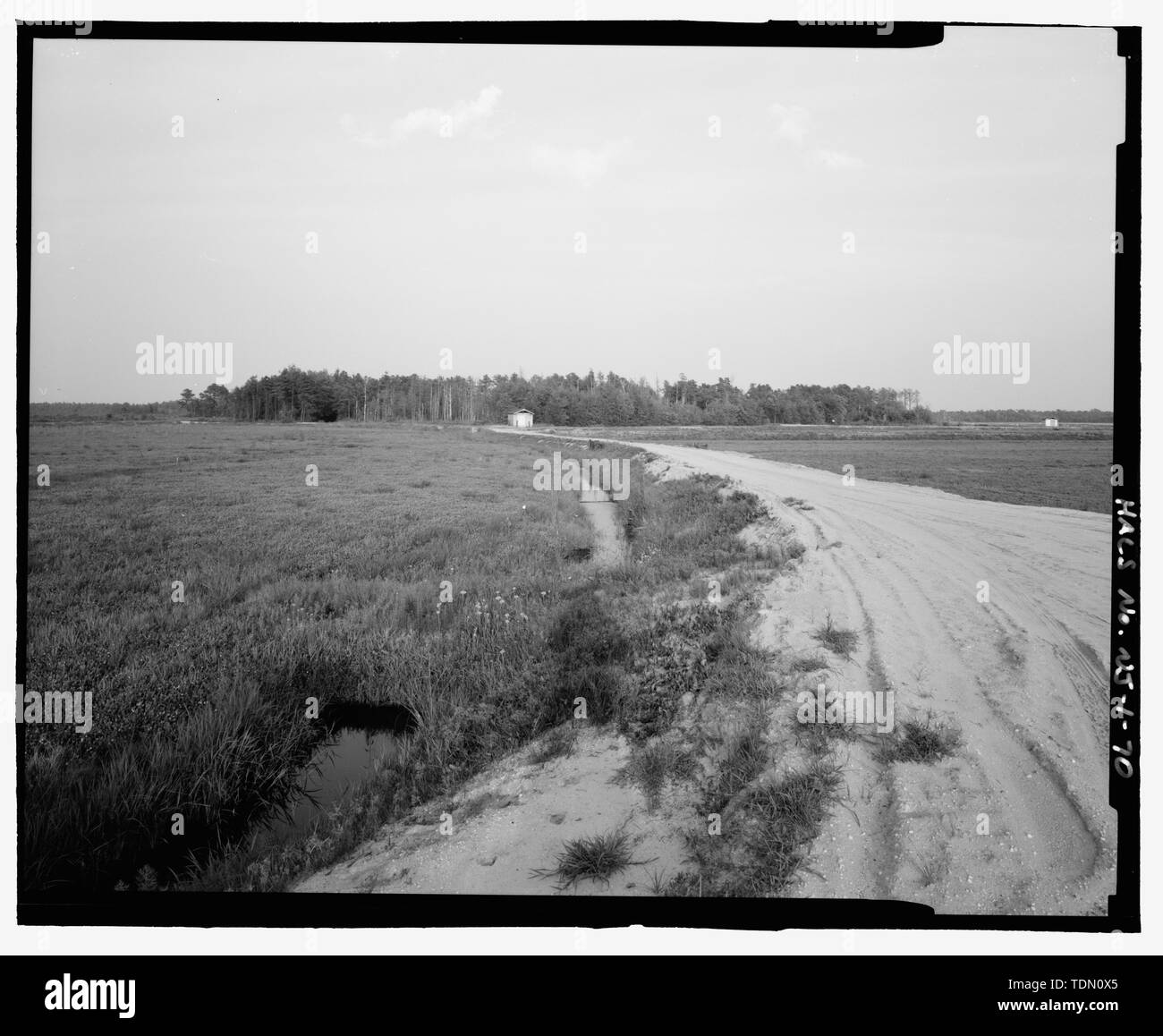 Panorama of working bog (Reads left to right northeast to southeast), Part 1 - Whitesbog Village and Cranberry Bog, Whitesbog Road, Pemberton, Burlington County, NJ Stock Photo
