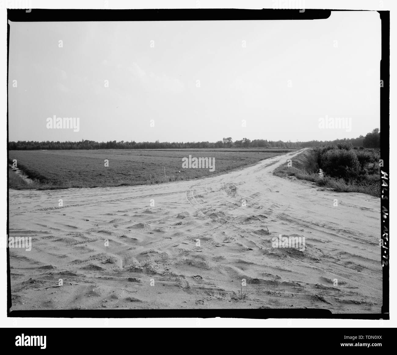 Panorama of working bog (Reads left to right northeast to southeast), Part 3 - Whitesbog Village and Cranberry Bog, Whitesbog Road, Pemberton, Burlington County, NJ Stock Photo