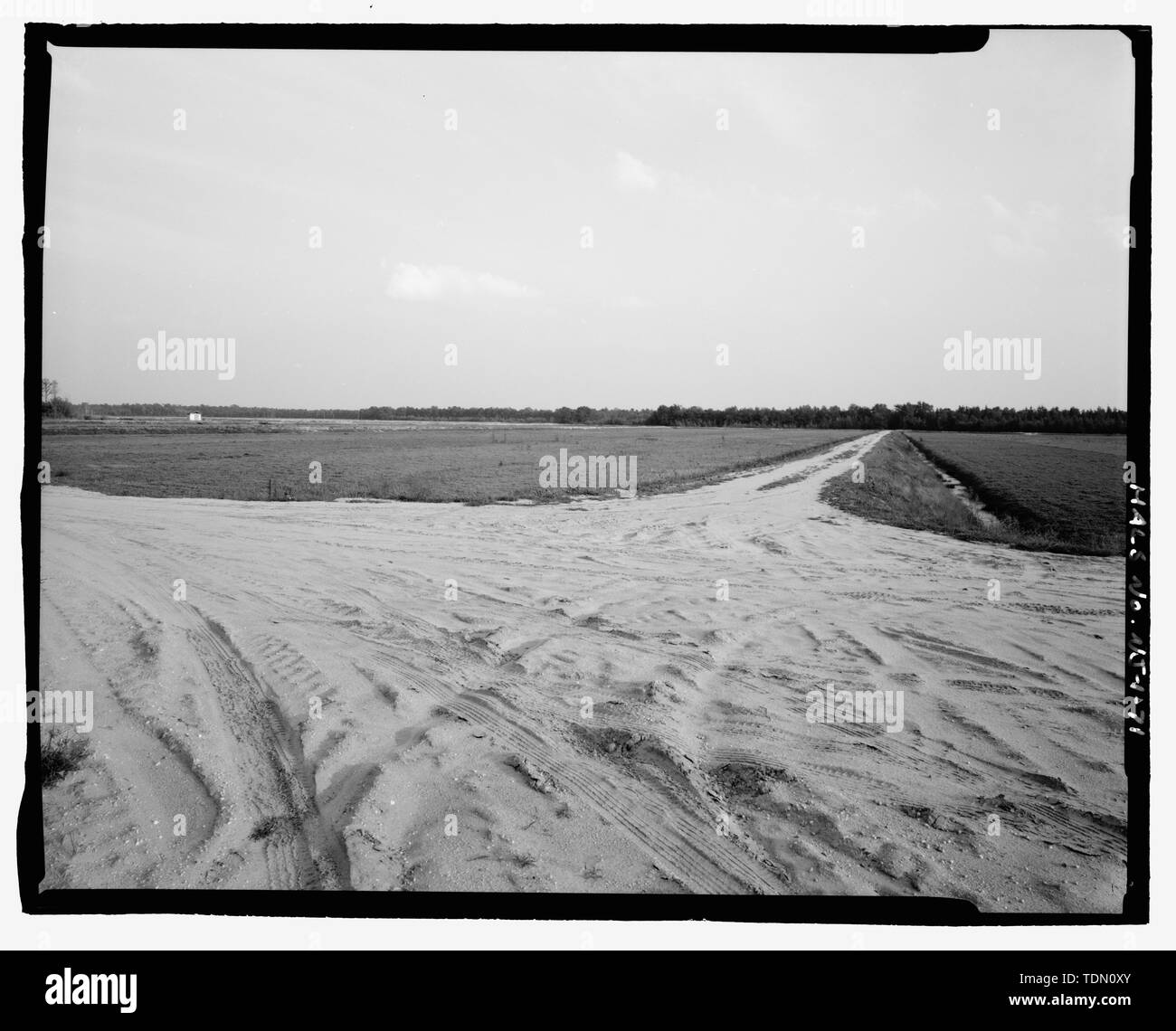Panorama of working bog (Reads left to right northeast to southeast), Part 2 - Whitesbog Village and Cranberry Bog, Whitesbog Road, Pemberton, Burlington County, NJ Stock Photo