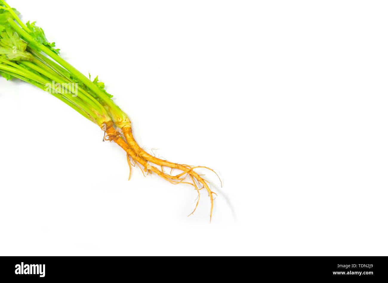 Natural coriander hires stock photography and images Alamy