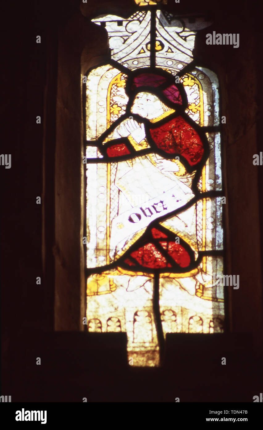 Stained glass window, 15th century glass fragments, Genealogy of Christ, Obez, St Mary's, Combs, Suffolk, UK. Stock Photo