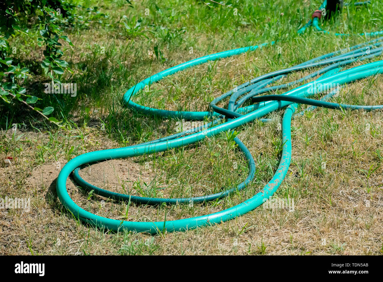 Hose tangled hires stock photography and images Alamy