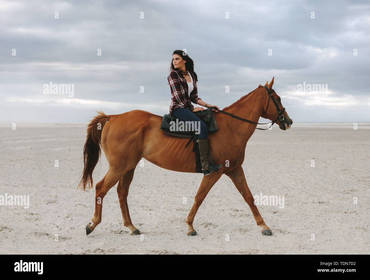 Woman horse ride on beach at sunset and glancing back. Beautiful female riding a brown horse in evening. Stock Photo