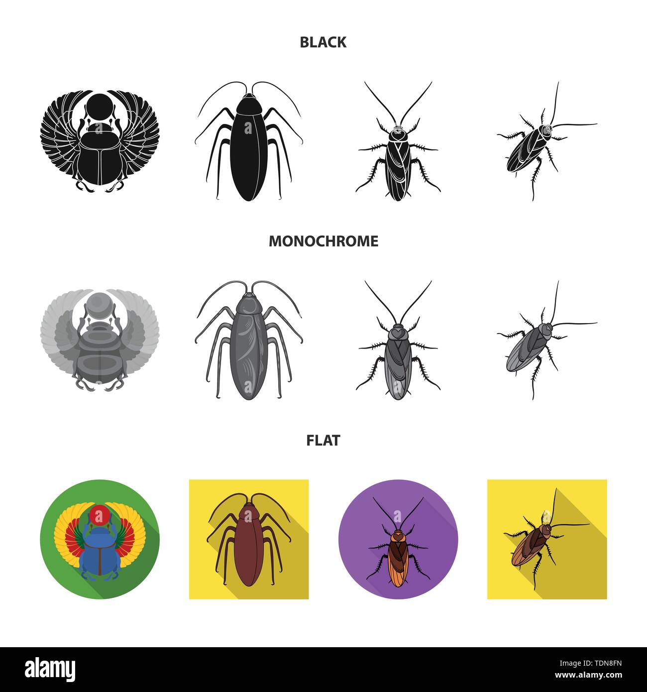 Vector design of insect and beetle sign. Collection of insect and ...