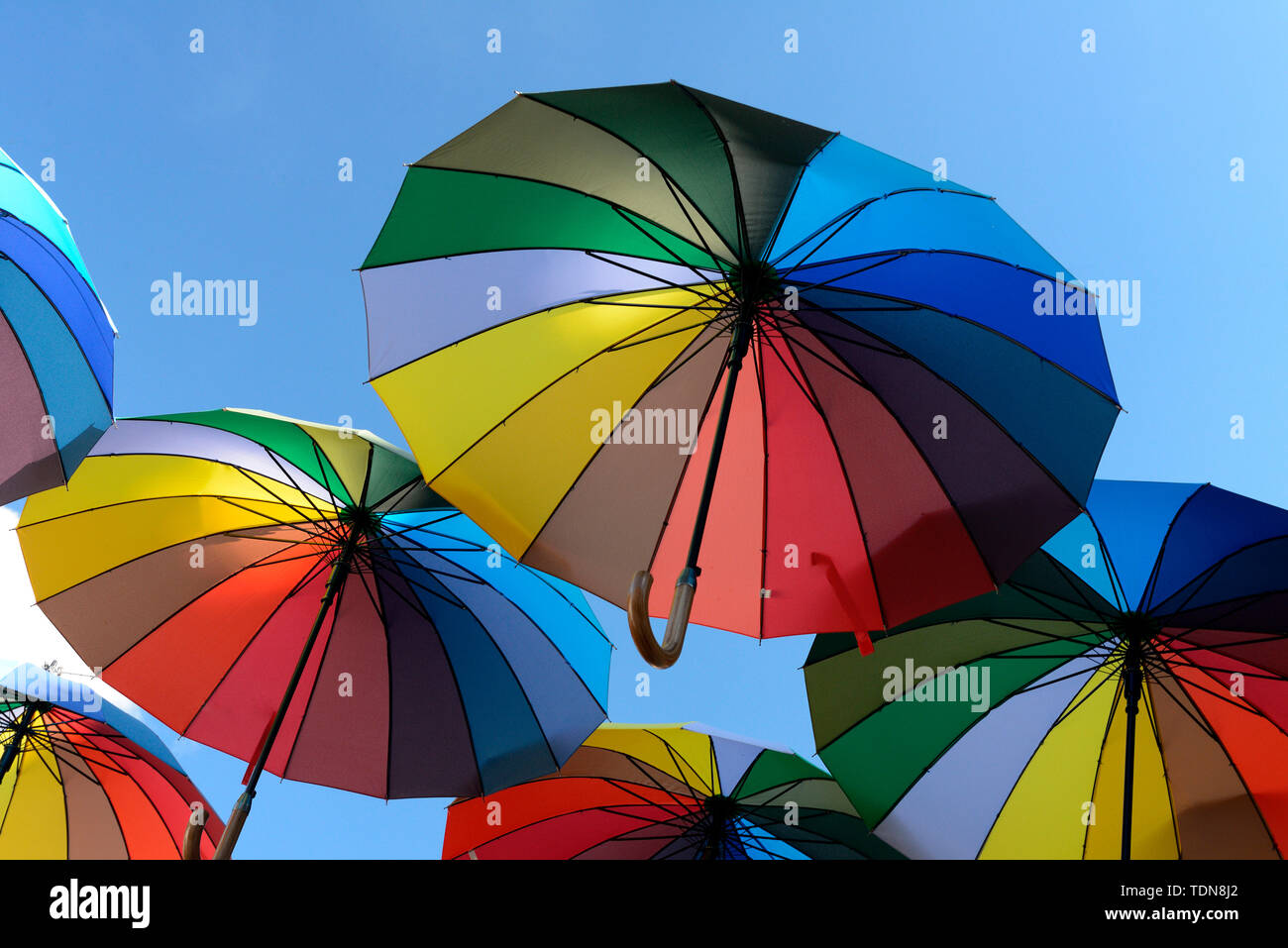 Colourful umbrellas Stock Photo