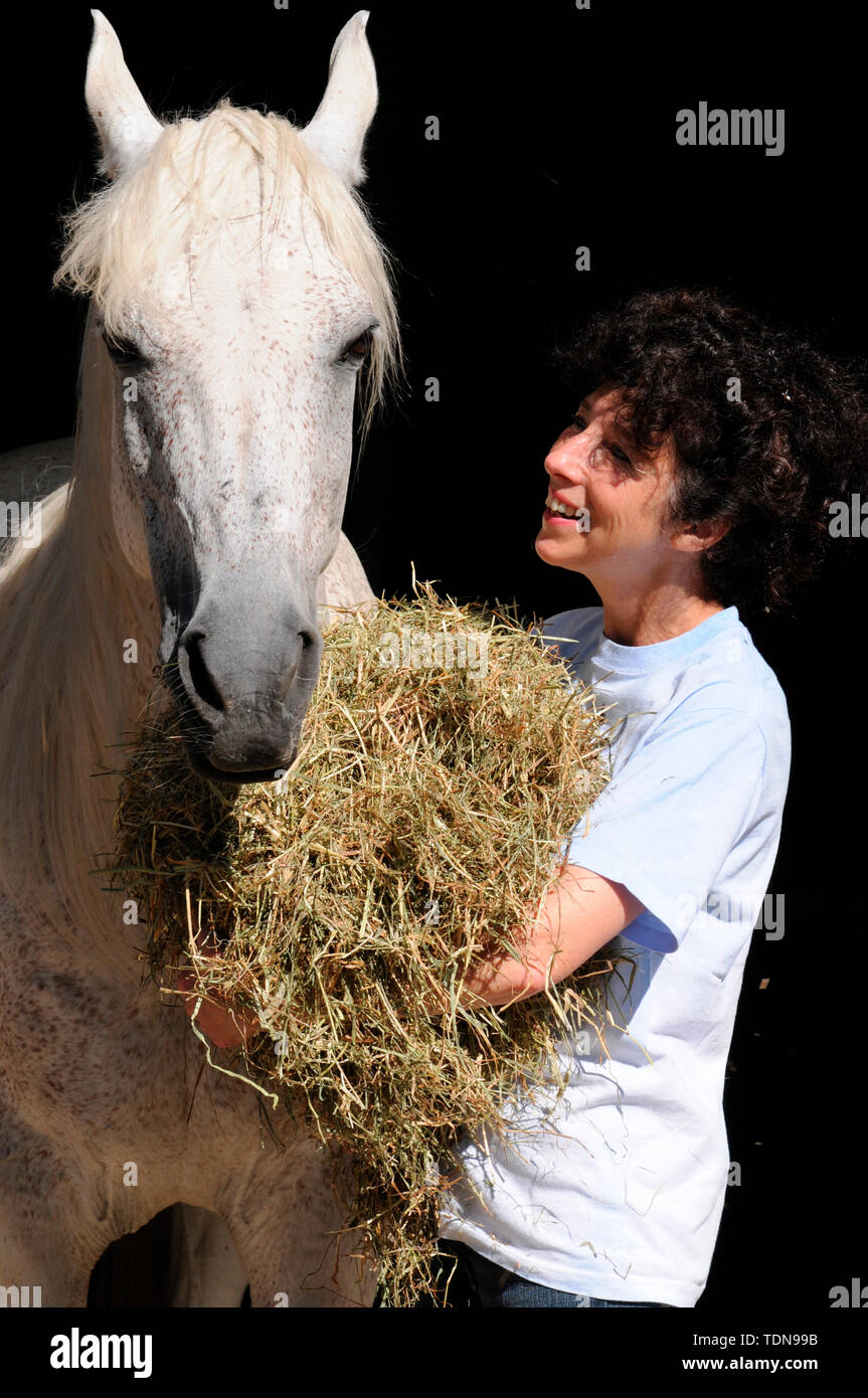 Feeding Hay, woman feeding horse Stock Photo