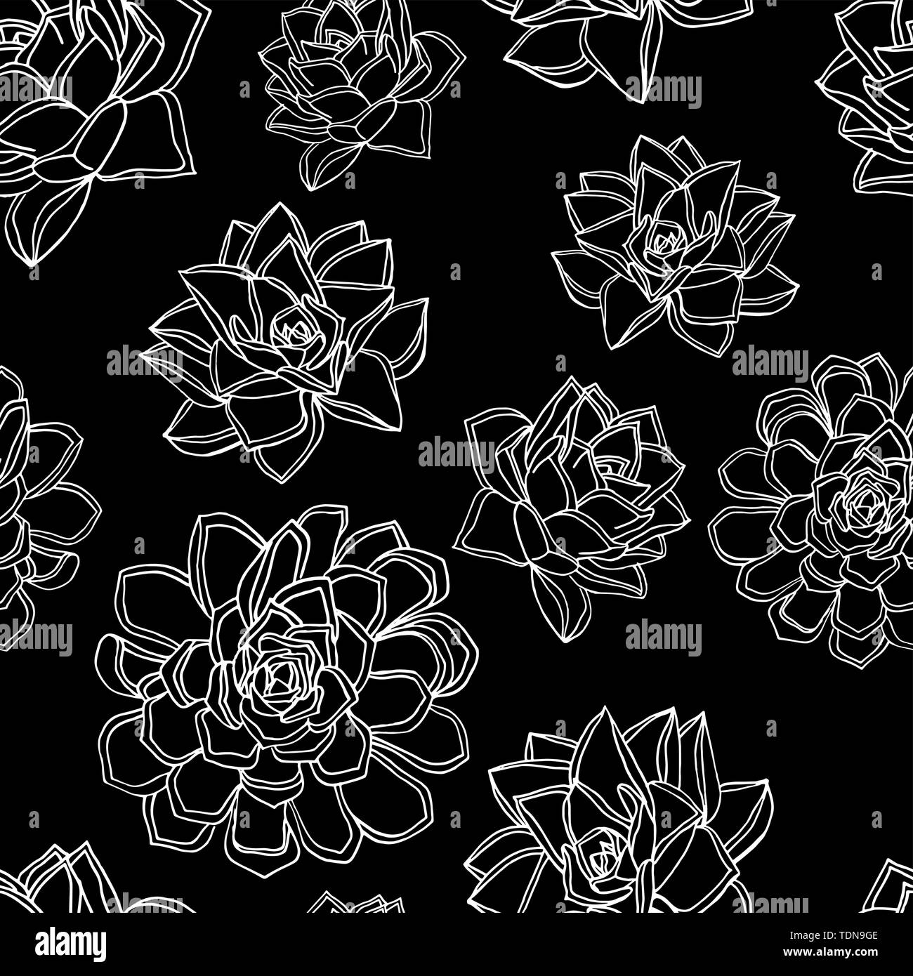 Hand drawn doodle style seamless pattern with common houseleek, Sempervivum tectorum succulents. black background. stock vector illustration Stock Vector