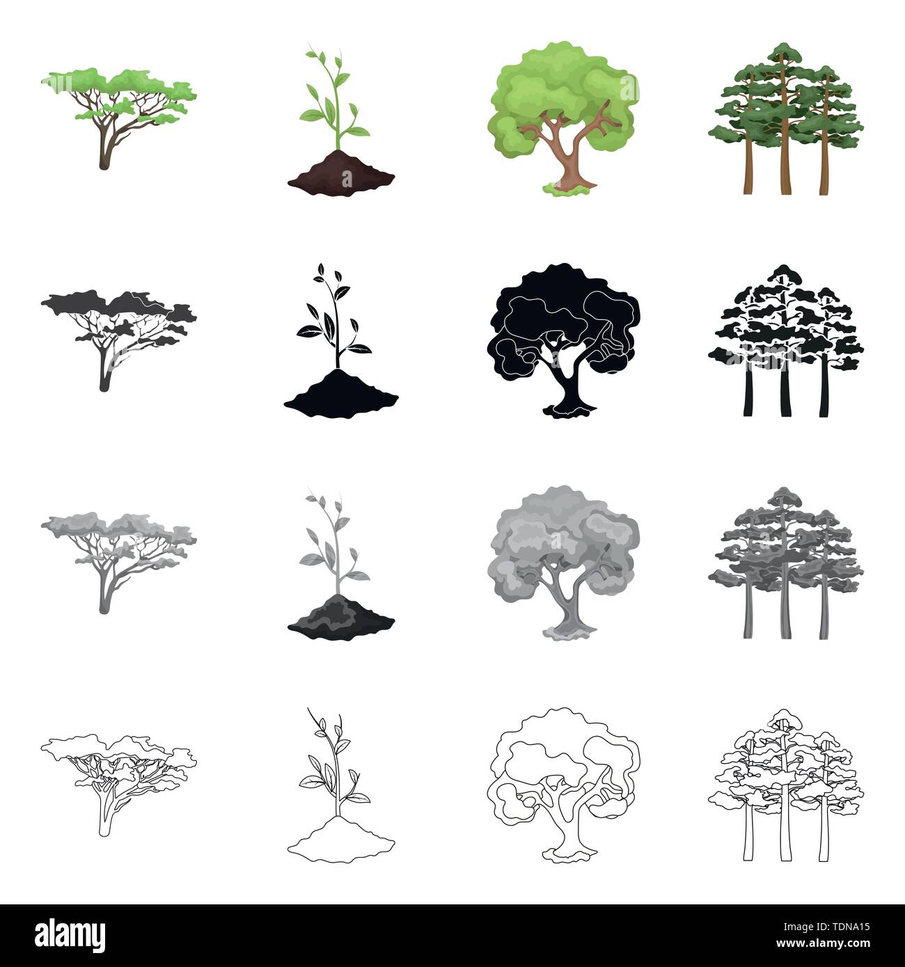 Isolated object of tree and forest symbol. Collection of tree and green ...