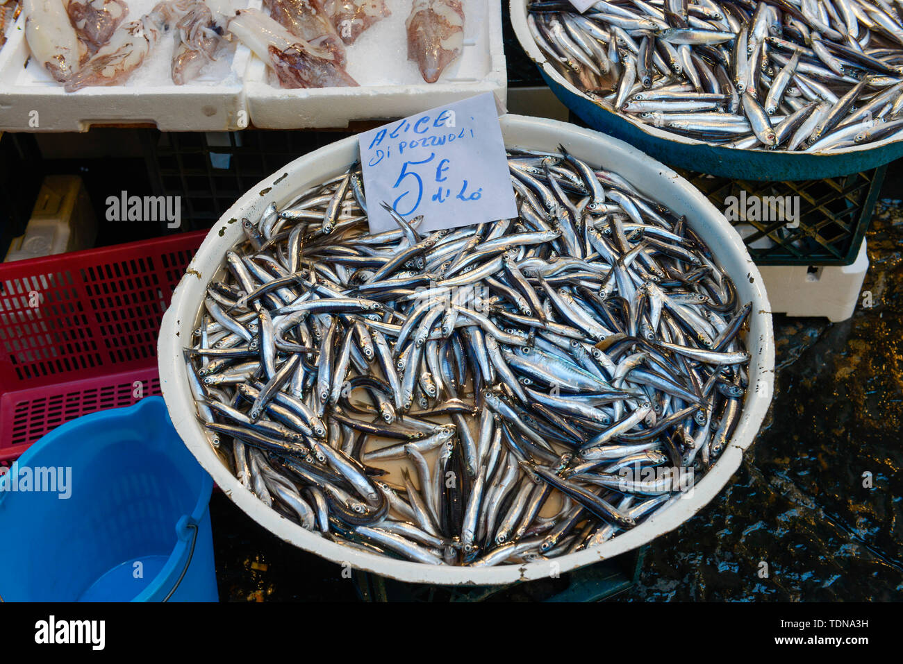 Sardinen, Fischhandlung, Wochenmarkt, La Pignasecca, Spanisches Viertel, Neapel, Italien Stock Photo